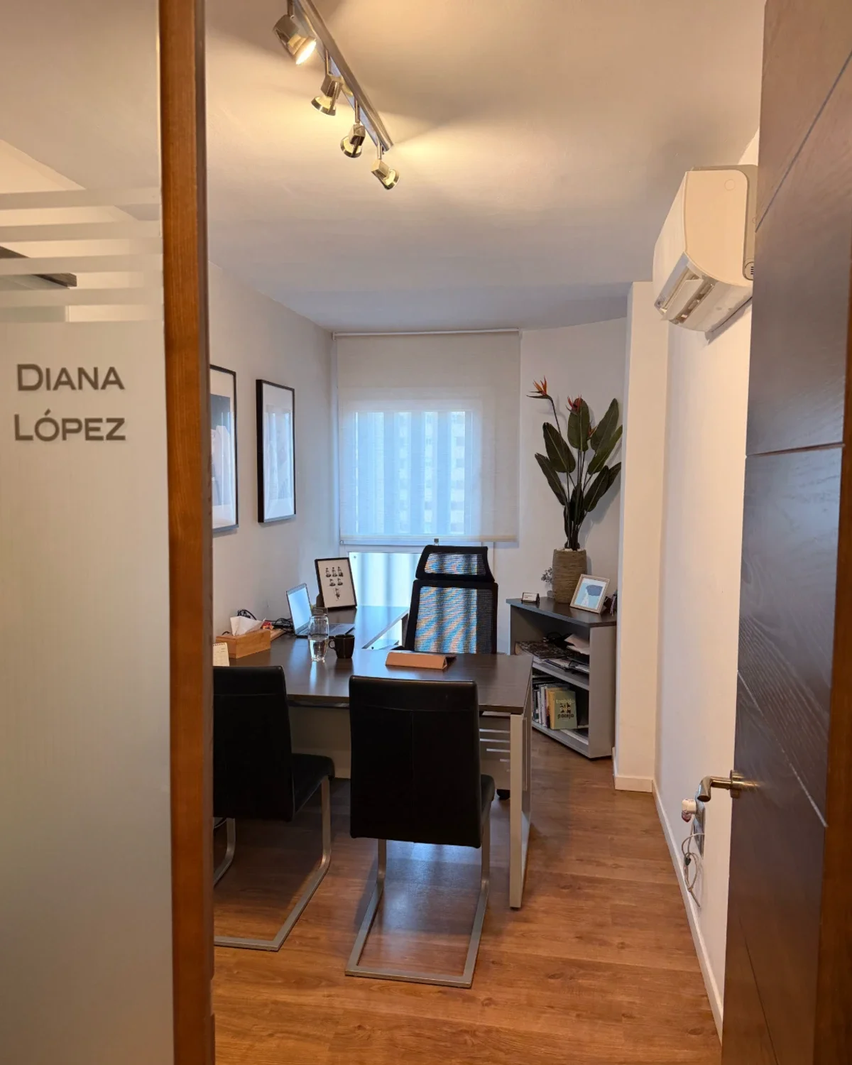 Consulta de Diana López en Málaga